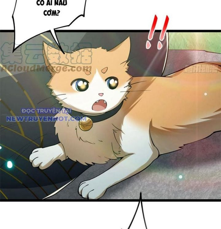 Ta Xuyên Không Với Max Điểm Mị Lực: Chapter 48