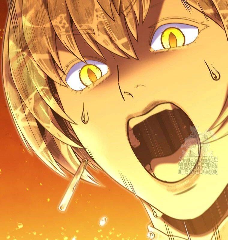 Tái Thiết Hầm Ngục: Chapter 227