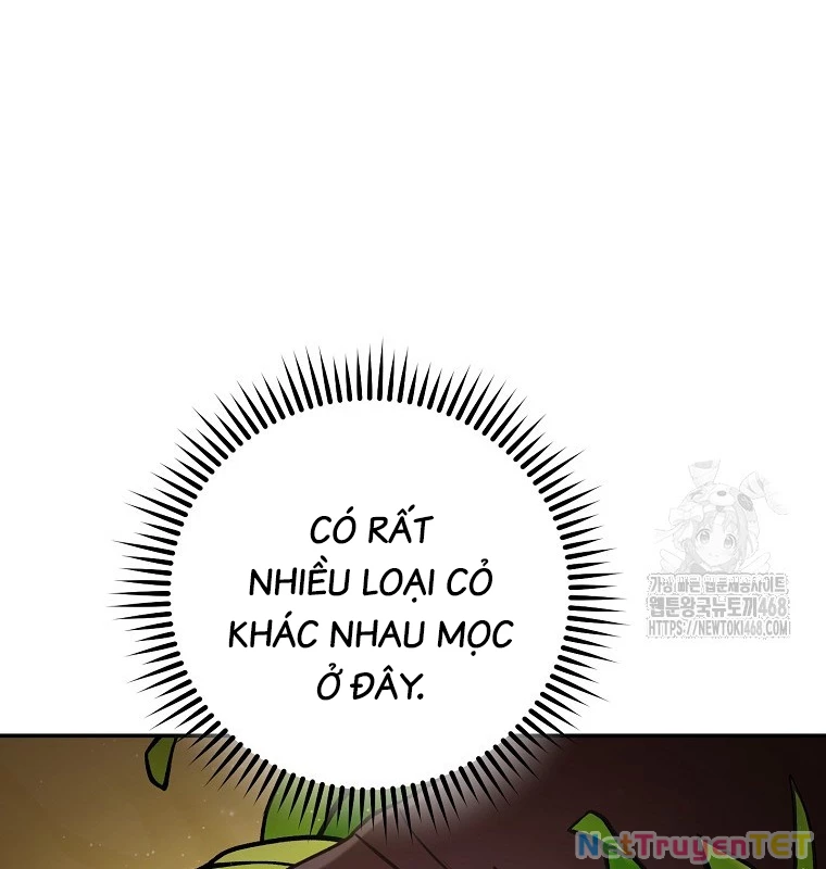 Tái Thiết Hầm Ngục: Chapter 235