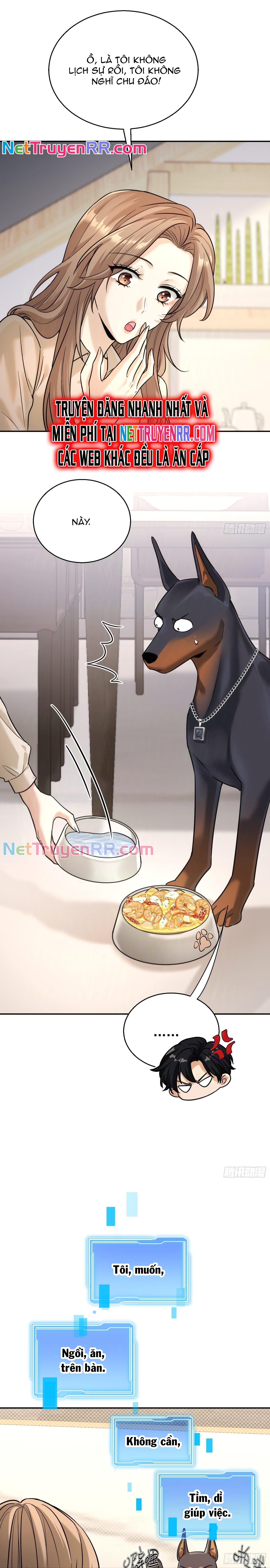 Tên Đàn Ông Này Đúng Là Đồ Chó: Chapter 11