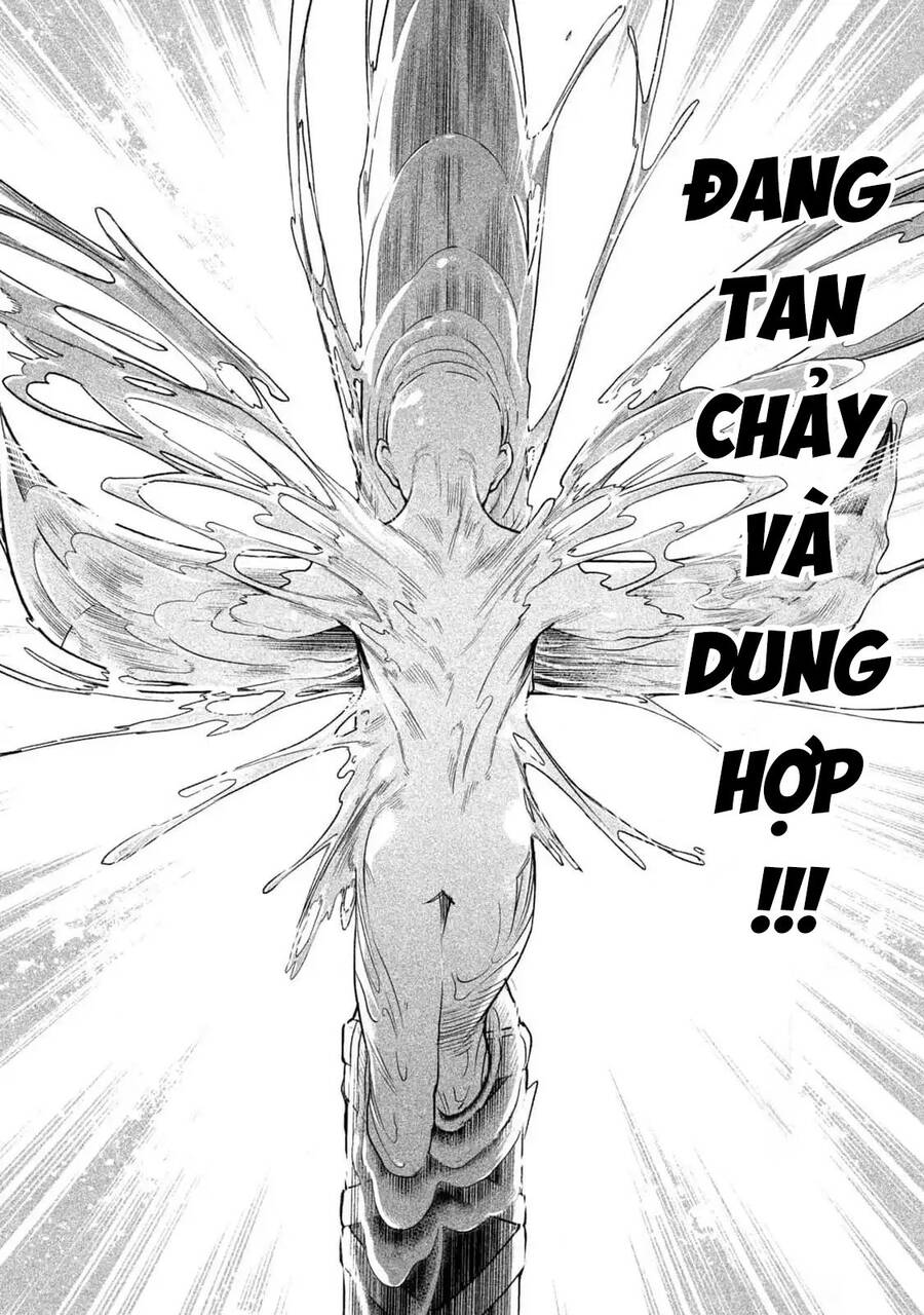 Tenkaichi - Thiên Hạ Đệ Nhất Võ Sĩ Đại Hội: Chapter 45