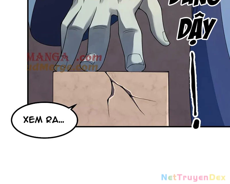 Thần Sủng Tiến Hóa: Chapter 372