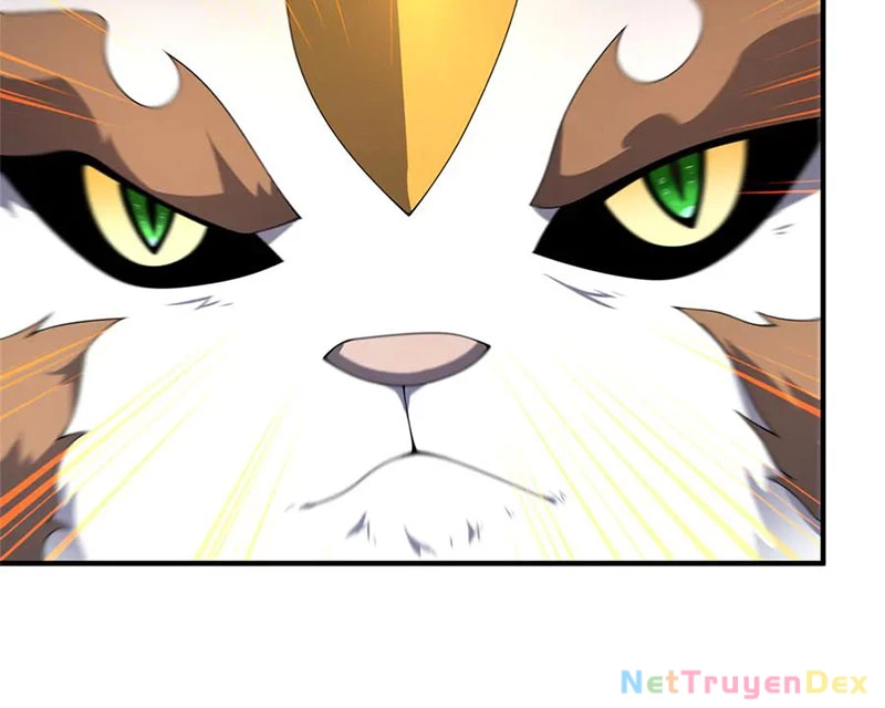 Thần Sủng Tiến Hóa: Chapter 372