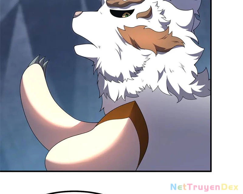 Thần Sủng Tiến Hóa: Chapter 372