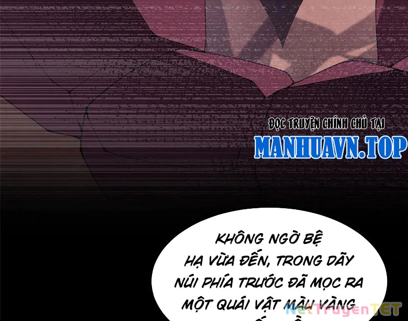 Thần Sủng Tiến Hóa: Chapter 376