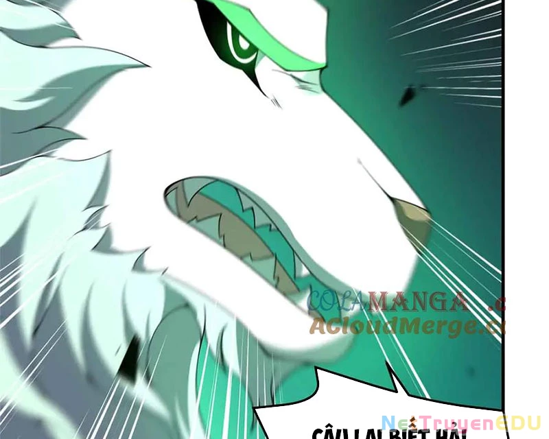 Thần Sủng Tiến Hóa: Chapter 381