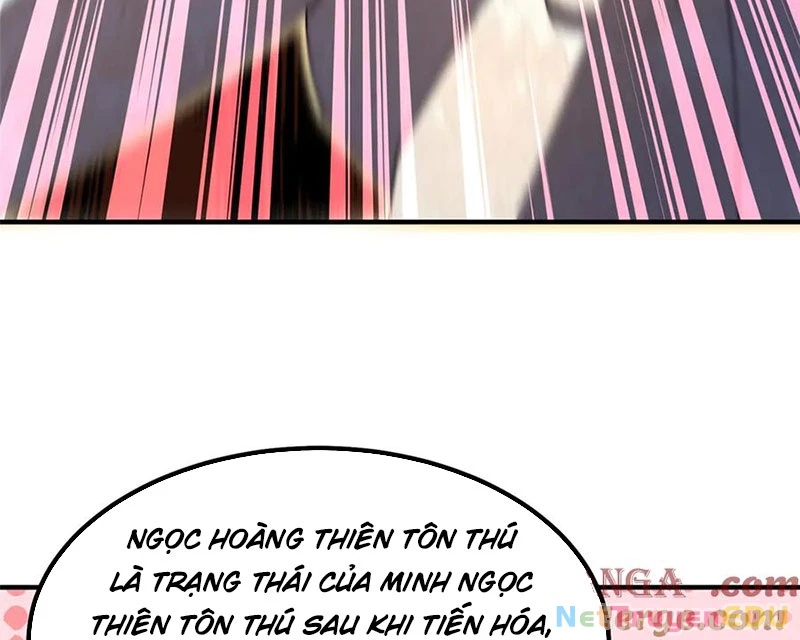 Thần Sủng Tiến Hóa: Chapter 382