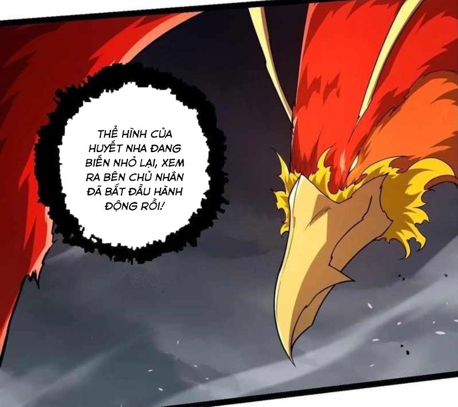 Thăng cấp bắt đầu từ một cái cây: Chapter 282
