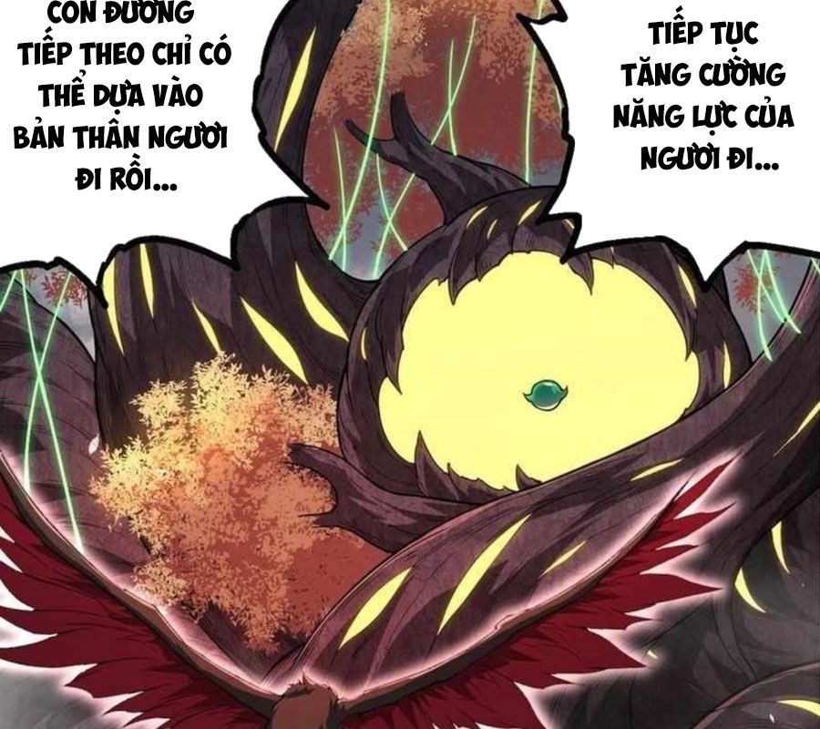 Thăng cấp bắt đầu từ một cái cây: Chapter 282
