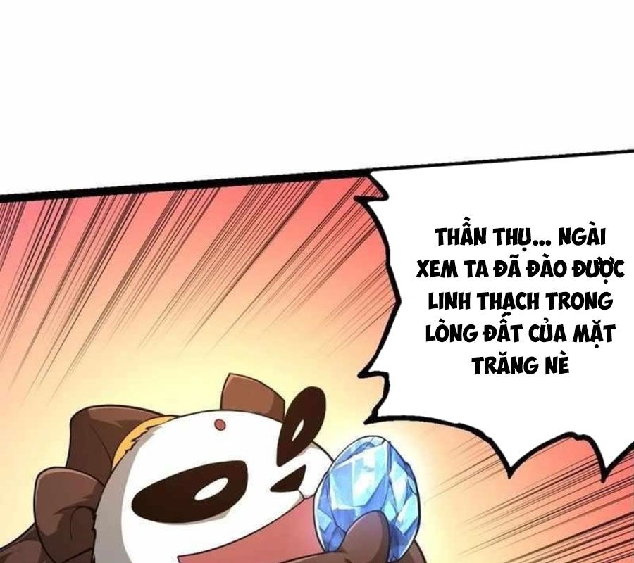 Thăng cấp bắt đầu từ một cái cây: Chapter 282