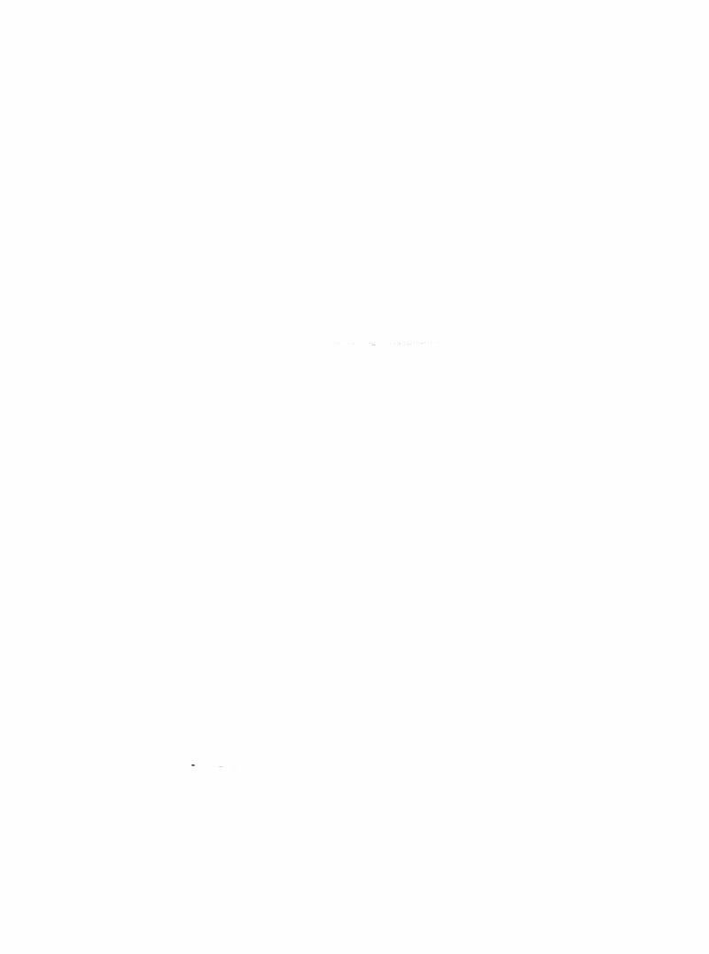 Thăng cấp bắt đầu từ một cái cây: Chapter 289