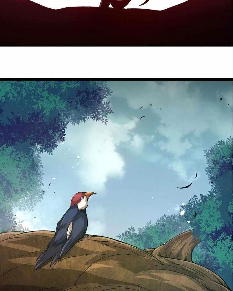 Thăng cấp bắt đầu từ một cái cây: Chapter 299