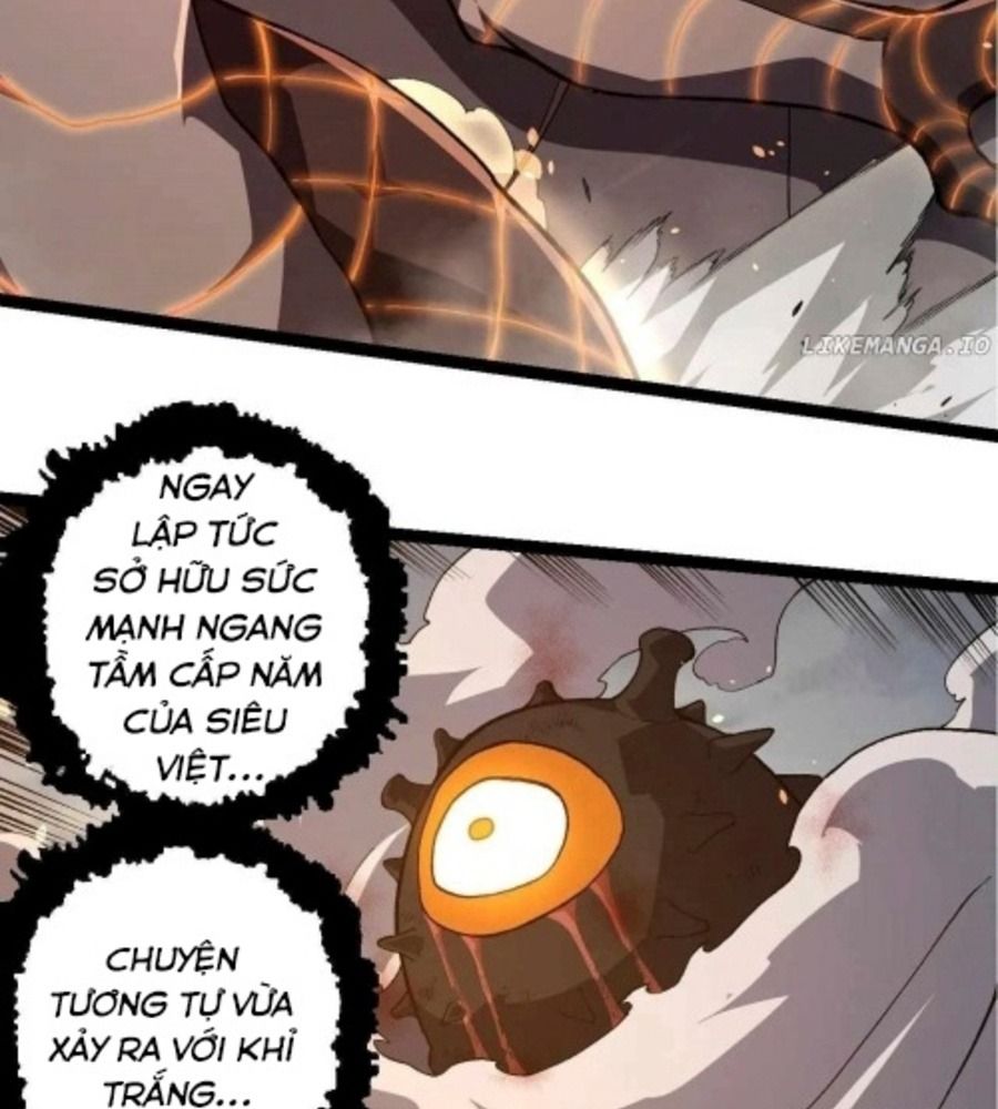 Thăng cấp bắt đầu từ một cái cây: Chapter 317