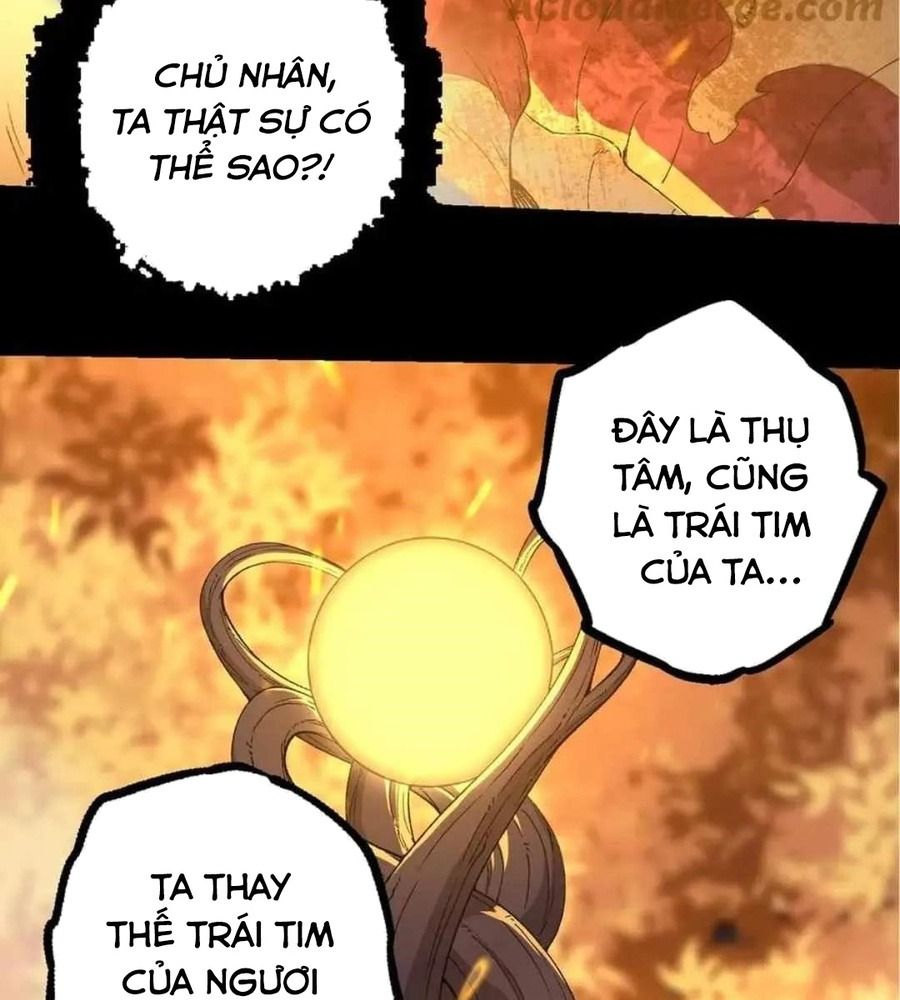 Thăng cấp bắt đầu từ một cái cây: Chapter 362