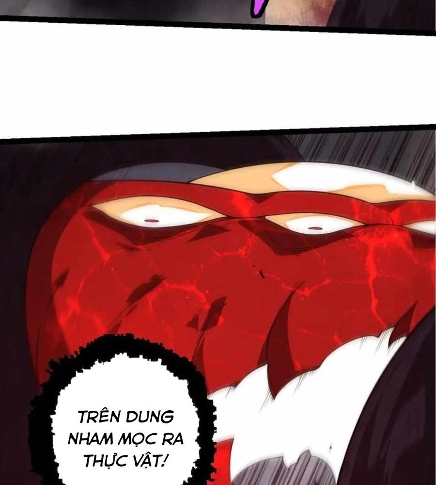 Thăng cấp bắt đầu từ một cái cây: Chapter 370