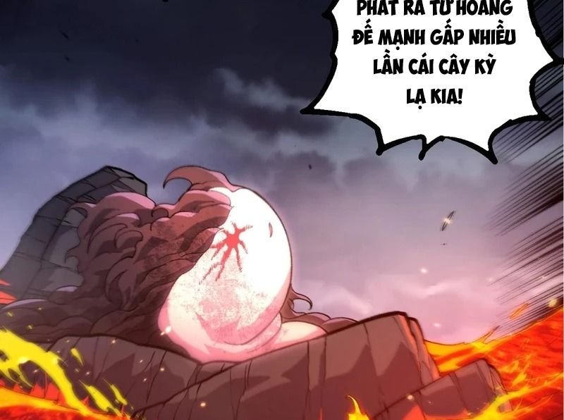 Thăng cấp bắt đầu từ một cái cây: Chapter 372