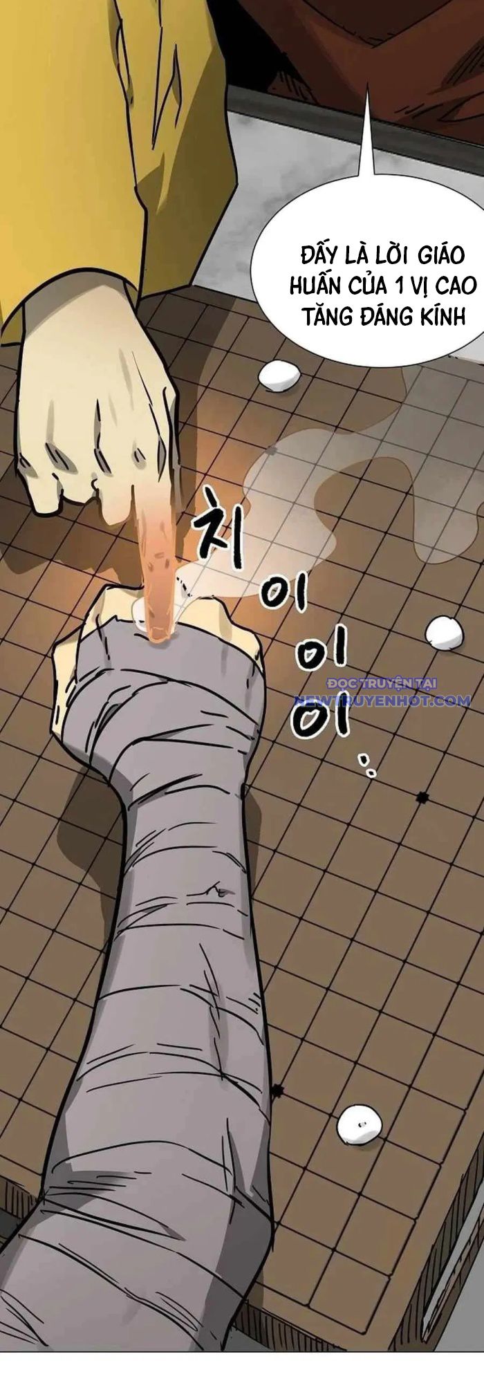 Thăng Cấp Vô Hạn Trong Murim: Chapter 219