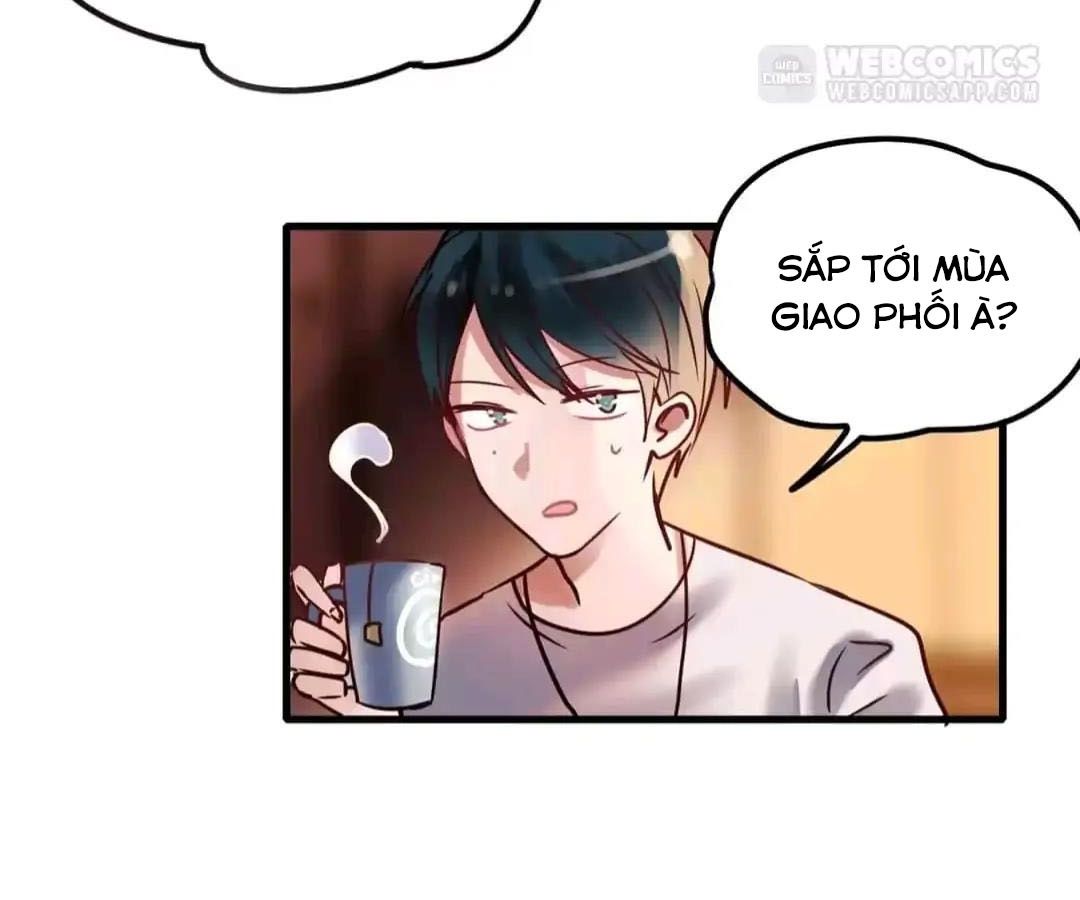 Thành Bại Vì Tiêu Hà: Chapter 2