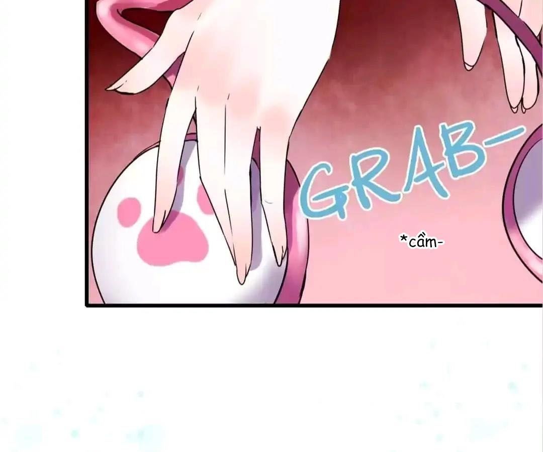 Thành Bại Vì Tiêu Hà: Chapter 2