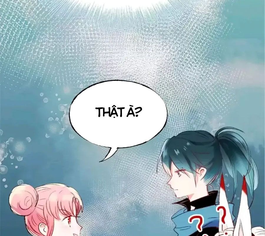 Thành Bại Vì Tiêu Hà: Chapter 22