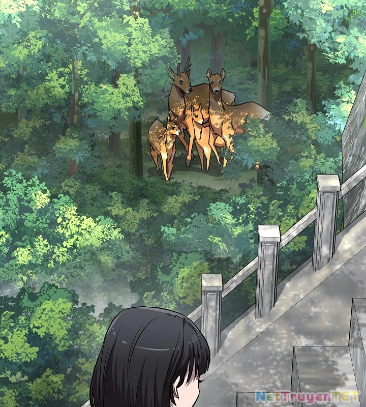 Thanh Mai Trúc Mã Của Đệ Nhất Thiên Hạ: Chapter 46