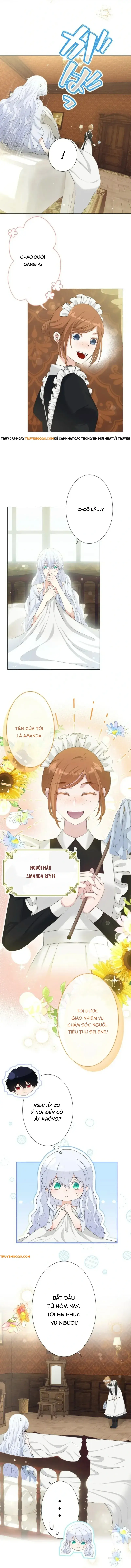 Thánh Nữ Mong Ước Cái Chết Với Hoàng Tử Bị Quyền Rủa: Chapter 9