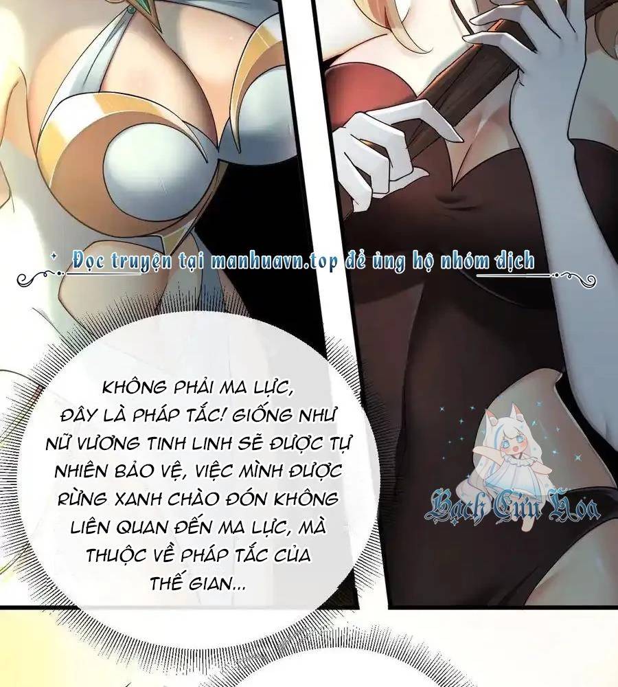 Thánh Nữ, Xin Hãy Dừng Ngay Những Trò Quái Đản Của Cô Đi!!: Chapter 79
