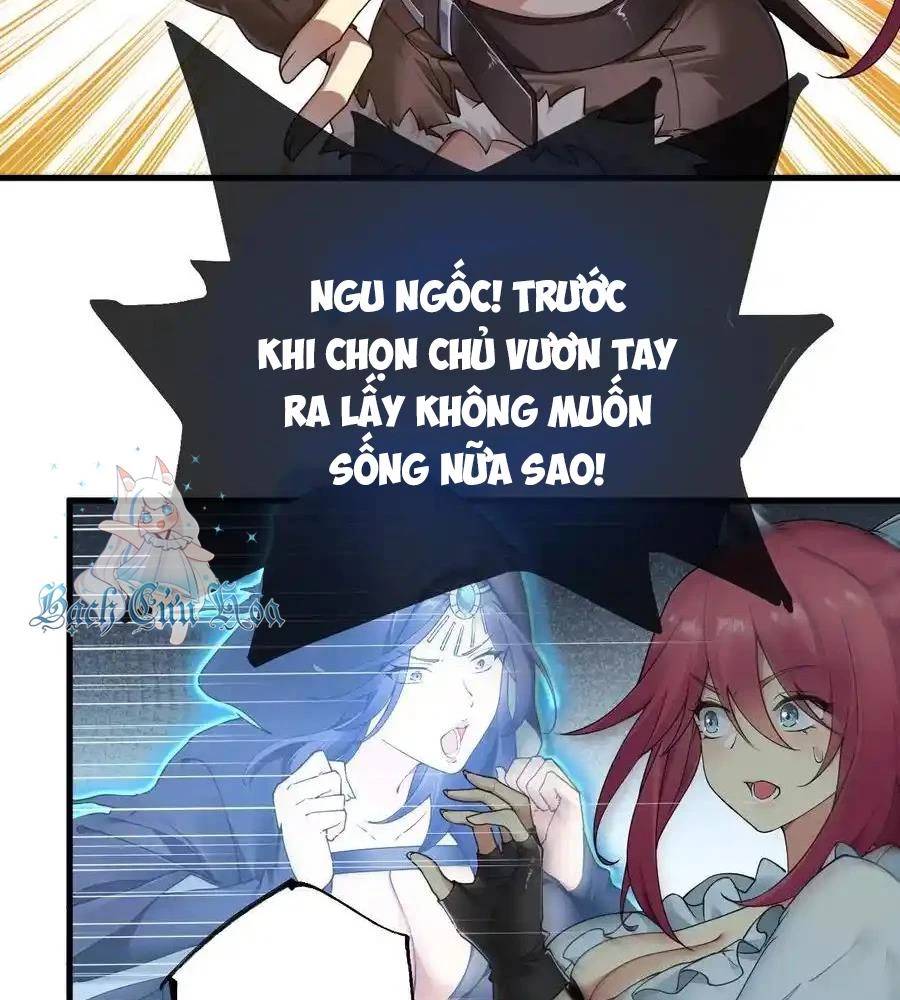 Thánh Nữ, Xin Hãy Dừng Ngay Những Trò Quái Đản Của Cô Đi!!: Chapter 79