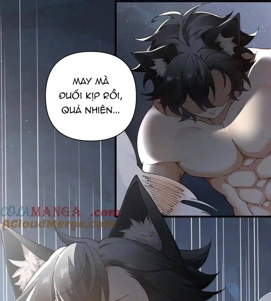Thánh Nữ, Xin Hãy Dừng Ngay Những Trò Quái Đản Của Cô Đi!!: Chapter 79
