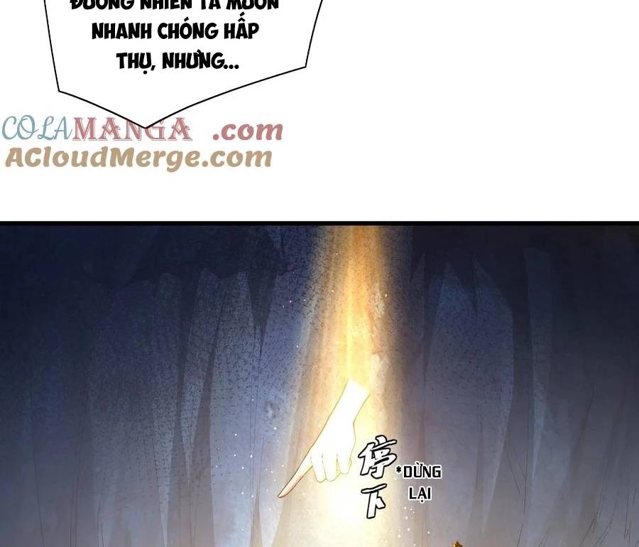 Thánh Nữ, Xin Hãy Dừng Ngay Những Trò Quái Đản Của Cô Đi!!: Chapter 82