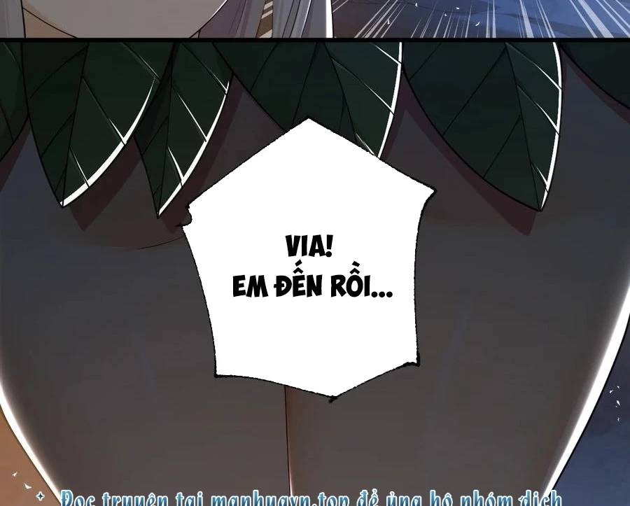 Thánh Nữ, Xin Hãy Dừng Ngay Những Trò Quái Đản Của Cô Đi!!: Chapter 82