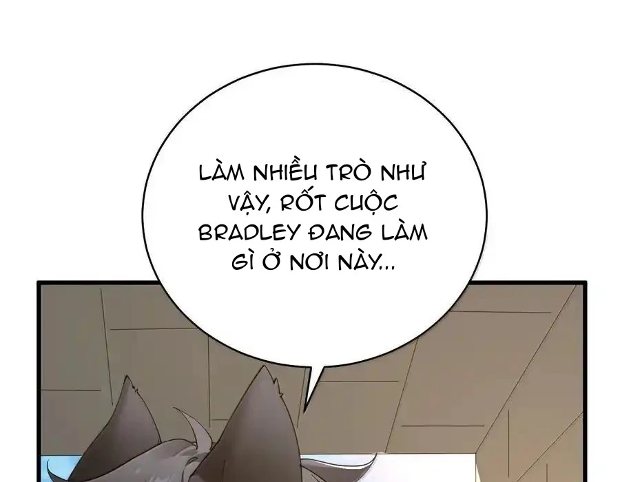 Thánh Nữ, Xin Hãy Dừng Ngay Những Trò Quái Đản Của Cô Đi!!: Chapter 92