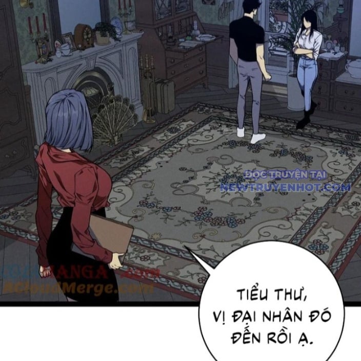 Thiên Phú Của Ngươi, Giờ Là Của Ta: Chapter 96