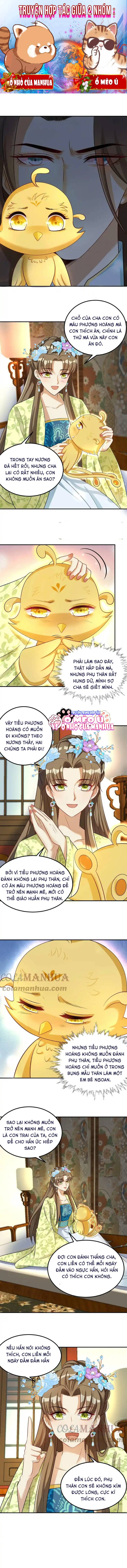 Thiên Tài Manh Bảo , Mẫu Thân Nghịch Thiên Bật Hack Rồi!: Chapter 13