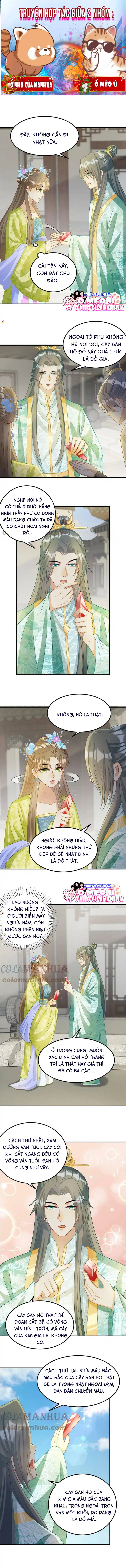 Thiên Tài Manh Bảo , Mẫu Thân Nghịch Thiên Bật Hack Rồi!: Chapter 17