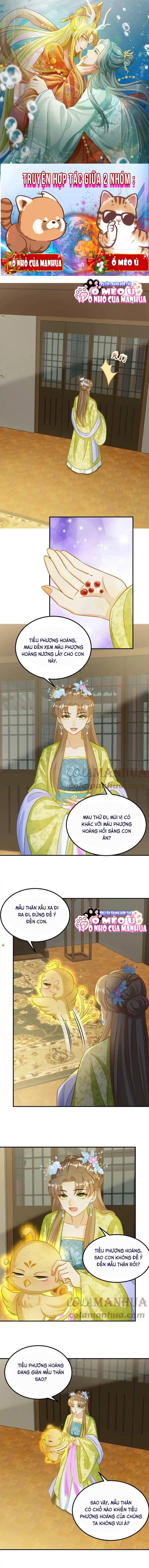 Thiên Tài Manh Bảo , Mẫu Thân Nghịch Thiên Bật Hack Rồi!: Chapter 23