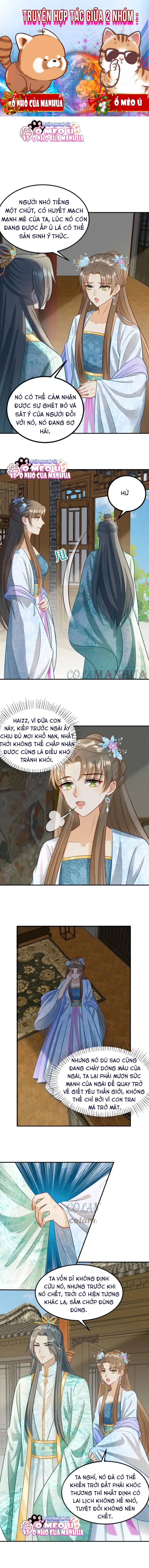 Thiên Tài Manh Bảo , Mẫu Thân Nghịch Thiên Bật Hack Rồi!: Chapter 8