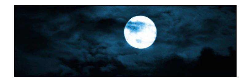 Thiếu Gia Bị Bỏ Rơi: Chapter 11