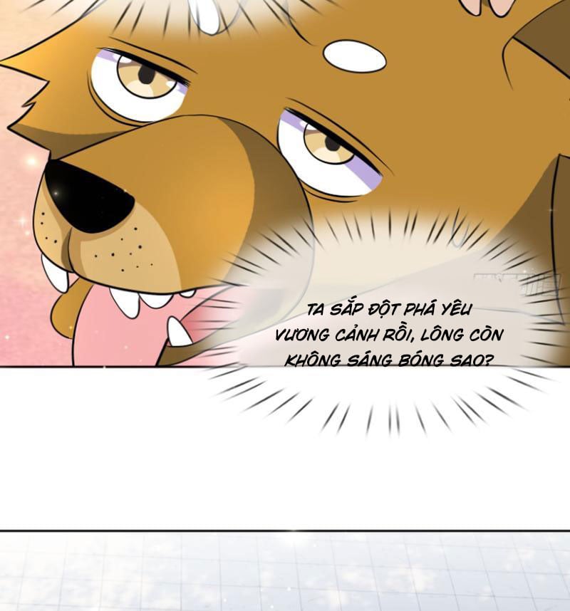 Thu Triệu Vạn Đồ Đệ, Vi Sư Vô Địch Thế Gian: Chapter 43