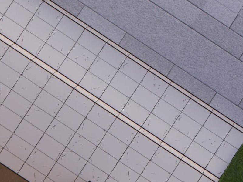 Thu Triệu Vạn Đồ Đệ, Vi Sư Vô Địch Thế Gian: Chapter 52