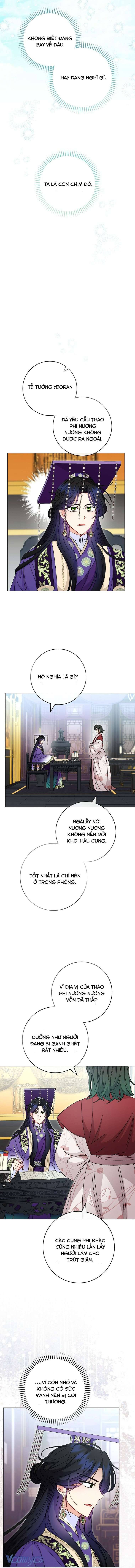 Tiểu Thiếp Chỉ Muốn Sống Yên Bình: Chapter 116