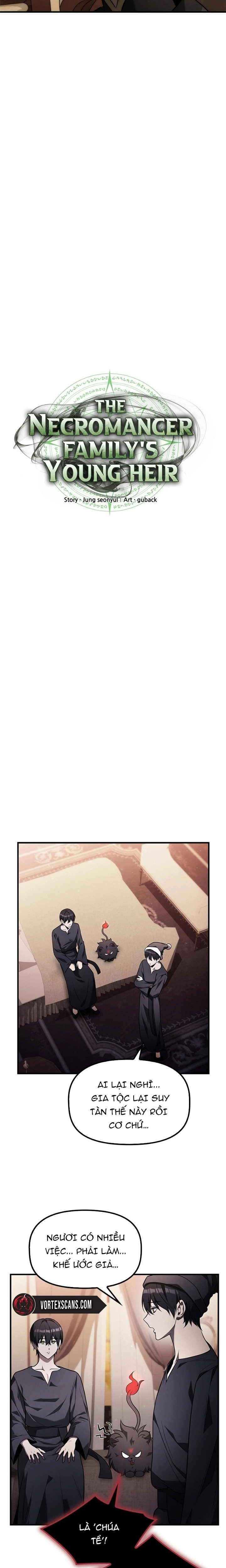 Tiểu Thiếu Gia Của Tử Linh Gia Tộc: Chapter 11