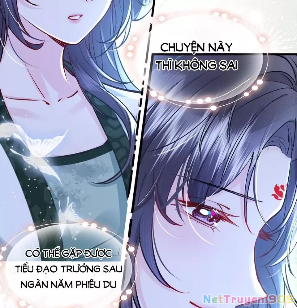 Tiểu Thư Ma Nữ, Cấm Dính Sát!: Chapter 13