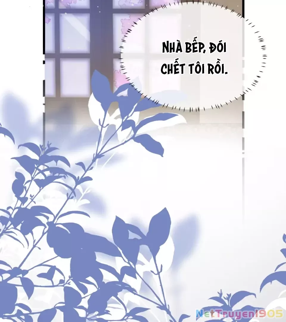 Tiểu Thư Ma Nữ, Cấm Dính Sát!: Chapter 13