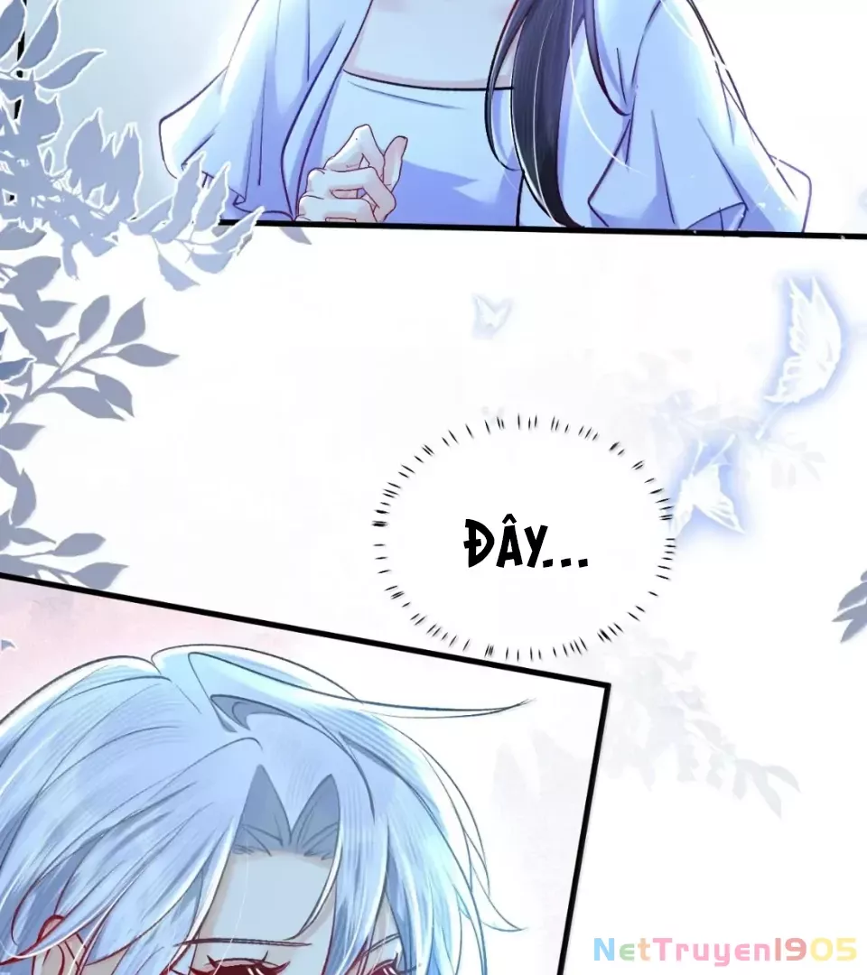 Tiểu Thư Ma Nữ, Cấm Dính Sát!: Chapter 24