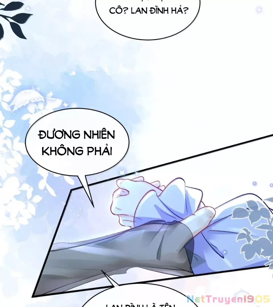Tiểu Thư Ma Nữ, Cấm Dính Sát!: Chapter 24