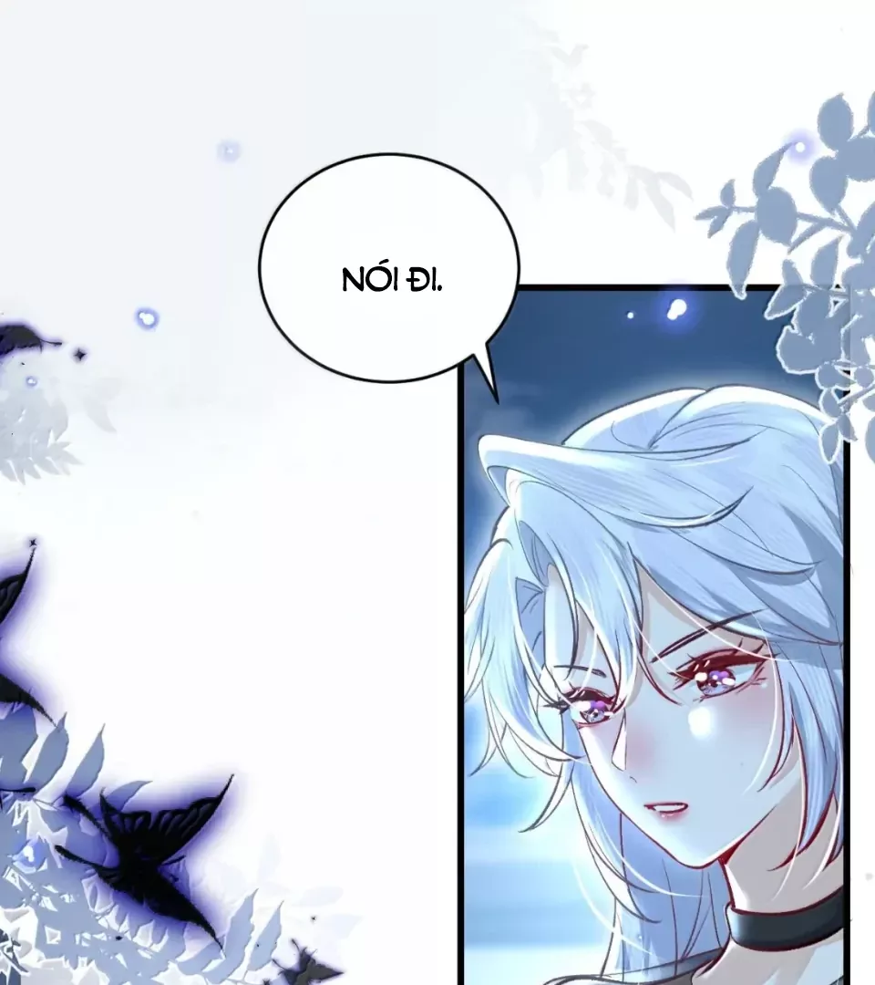 Tiểu Thư Ma Nữ, Cấm Dính Sát!: Chapter 24