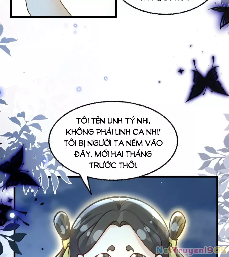 Tiểu Thư Ma Nữ, Cấm Dính Sát!: Chapter 24