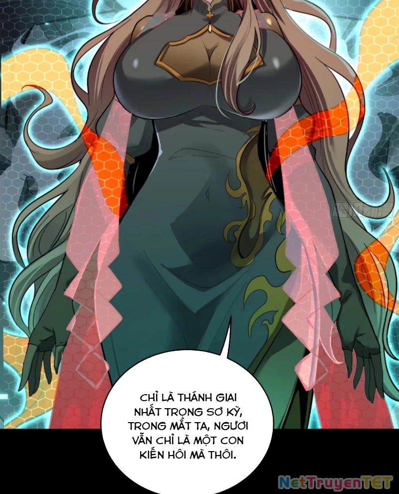 Tinh Giáp Hồn Tướng: Chapter 259