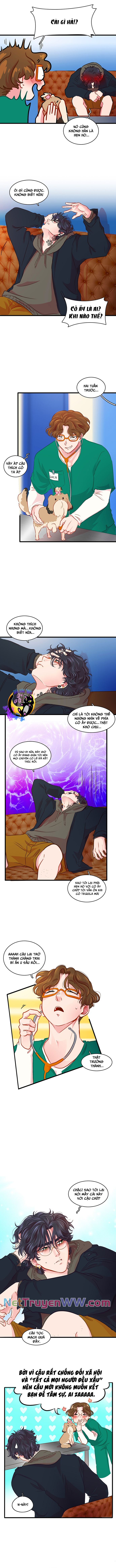 Tình Yêu Dẫn Lối: Chapter 13